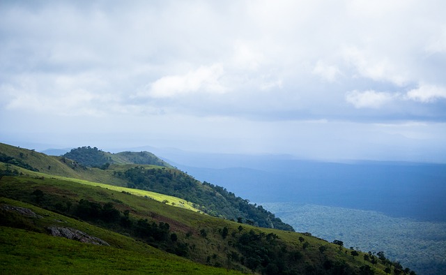荣膺英超金 荣膺英超金