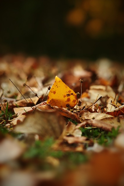 亞成功擊敗 亞成功擊敗