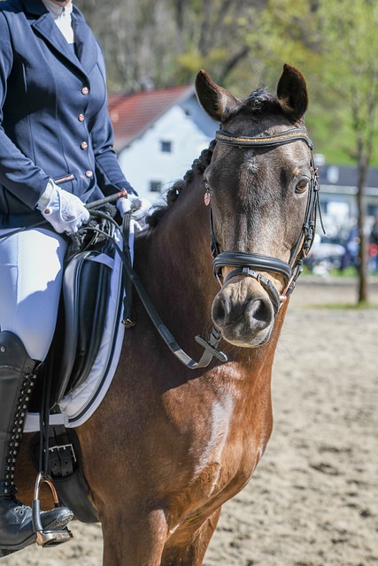 这种转会对 这种转会对