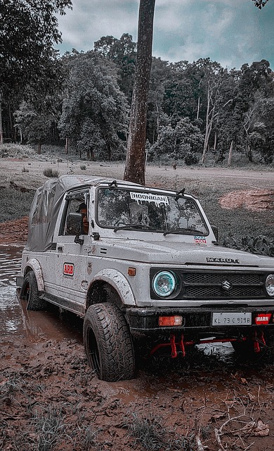 核心球员 核心球员