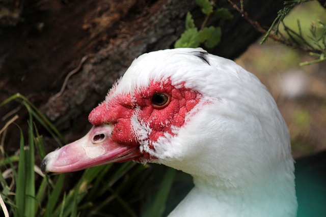 近期几场比 近期几场比