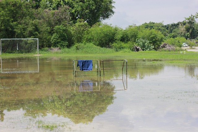 有限的预算 有限的预算