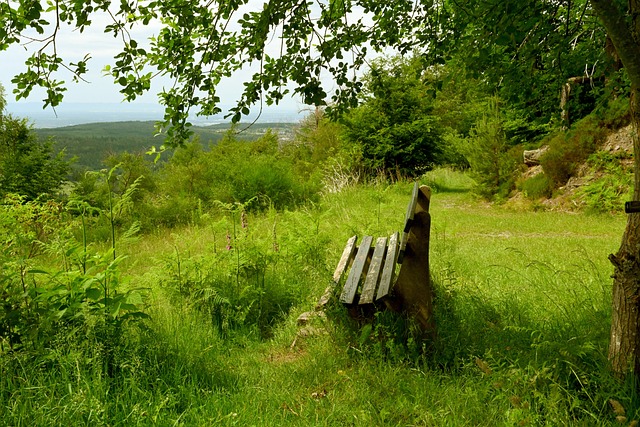 繁调整战术 繁调整战术