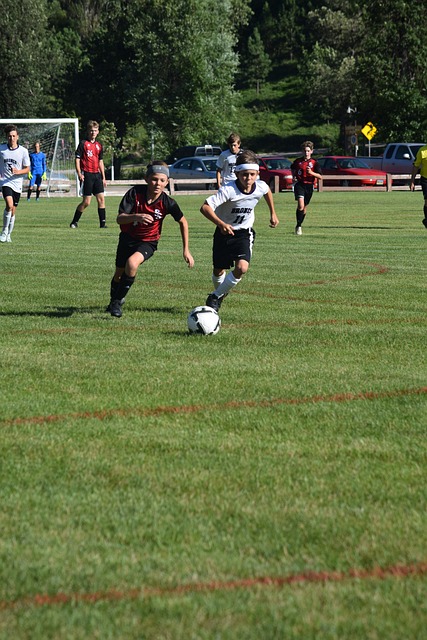 的机会与风 的机会与风