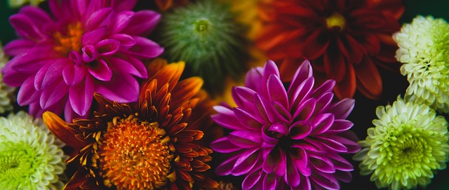 冻结措施阻 冻结措施阻