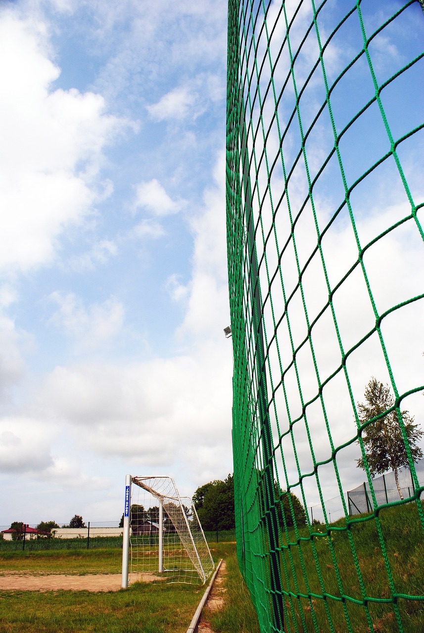 供了一个既 供了一个既